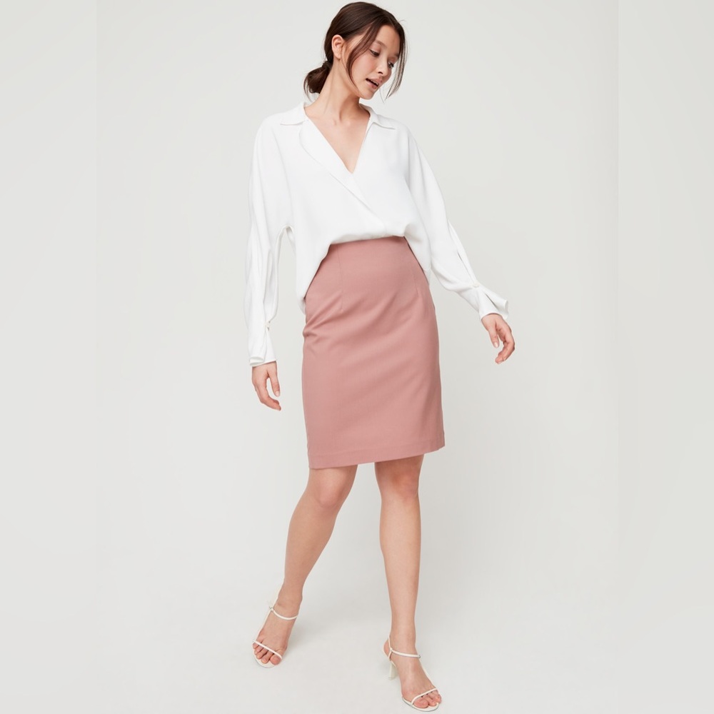 Aritzia Babaton Walt Skirt